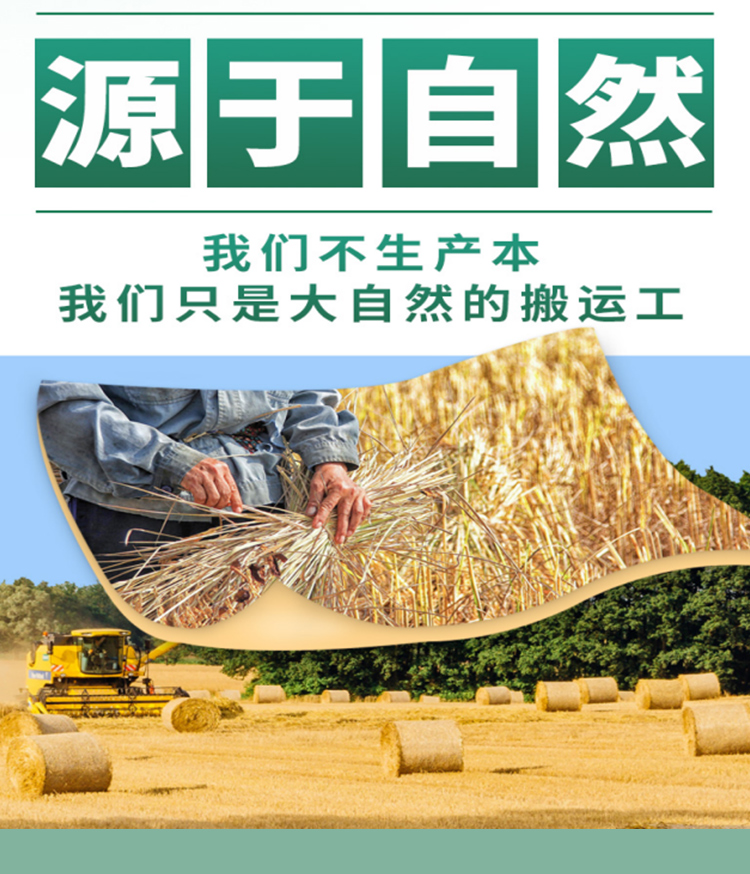 XH軟抄32開-240本辦公100型